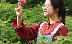 AV日日碰狠狠躁久久躁